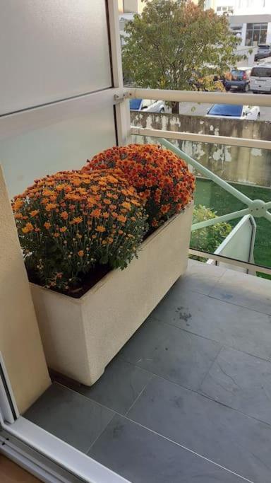 Appt Centre Ville "Parc Olympe De Gouges" Avec Garage آنماس المظهر الخارجي الصورة